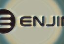 Enjin Coin Nedir